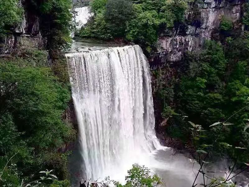 小暑时节，来18℃的盘塘村避避暑