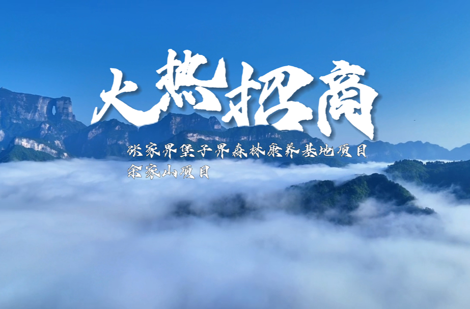 速戳→这有投资商机