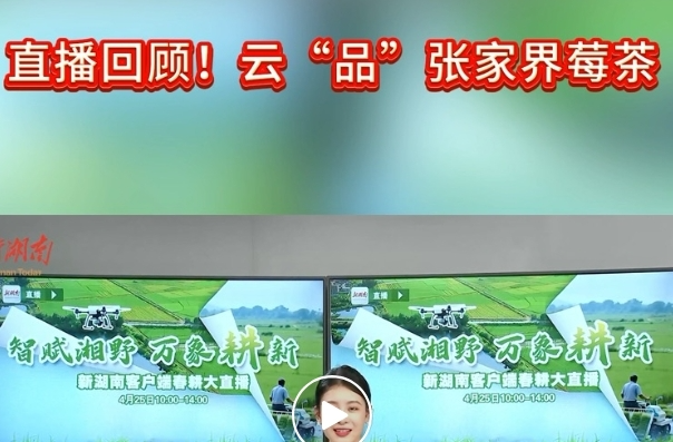 直播回顾！云“品”张家界莓茶