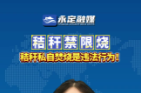 政策“秸”讀丨隨意焚燒秸稈違法嗎？