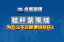 政策“秸”讀丨為什么不能隨意焚燒秸稈？