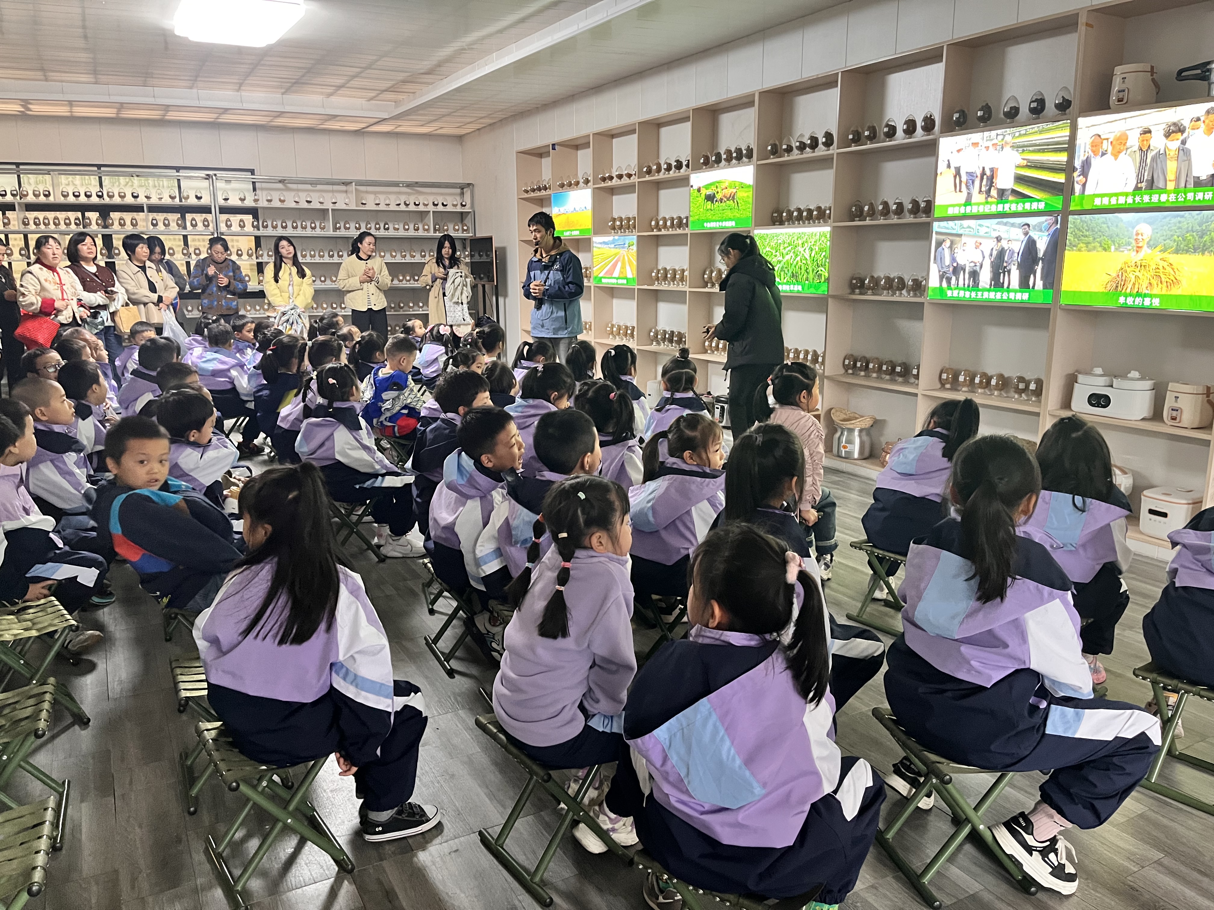 把课堂搬进稻田！崇实北校学生开展农耕文化研学