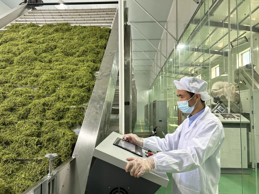 七大攻坚丨永定区一产业集群首获省级荣誉