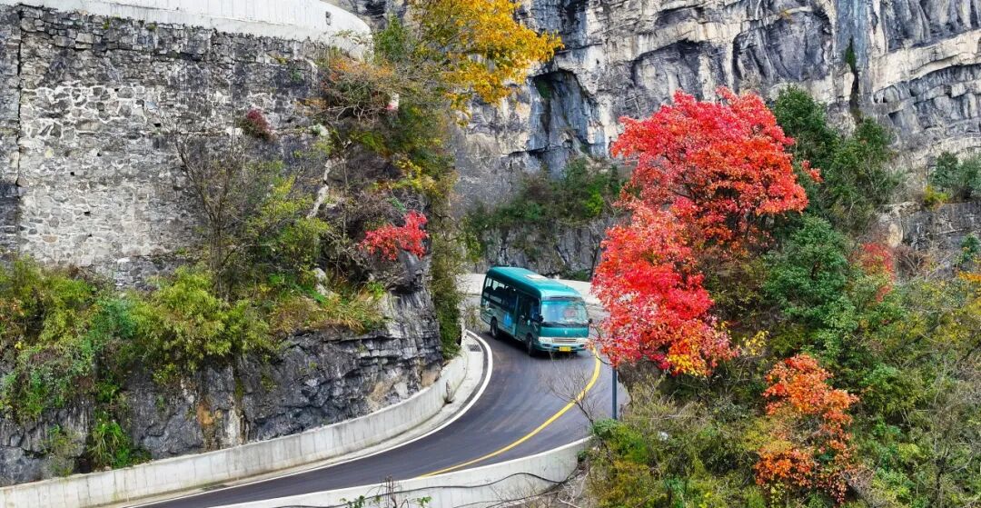 快门按不停！天门山99道弯，现在去刚刚好！