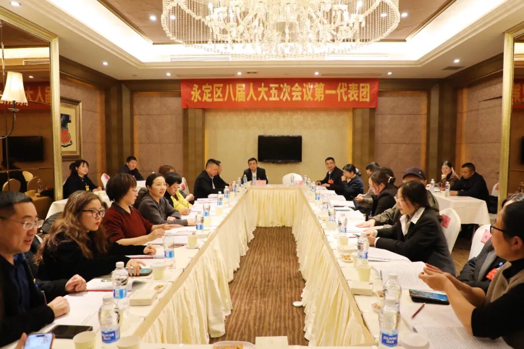 两会时间丨区人大代表分团讨论 建言献策共话发展