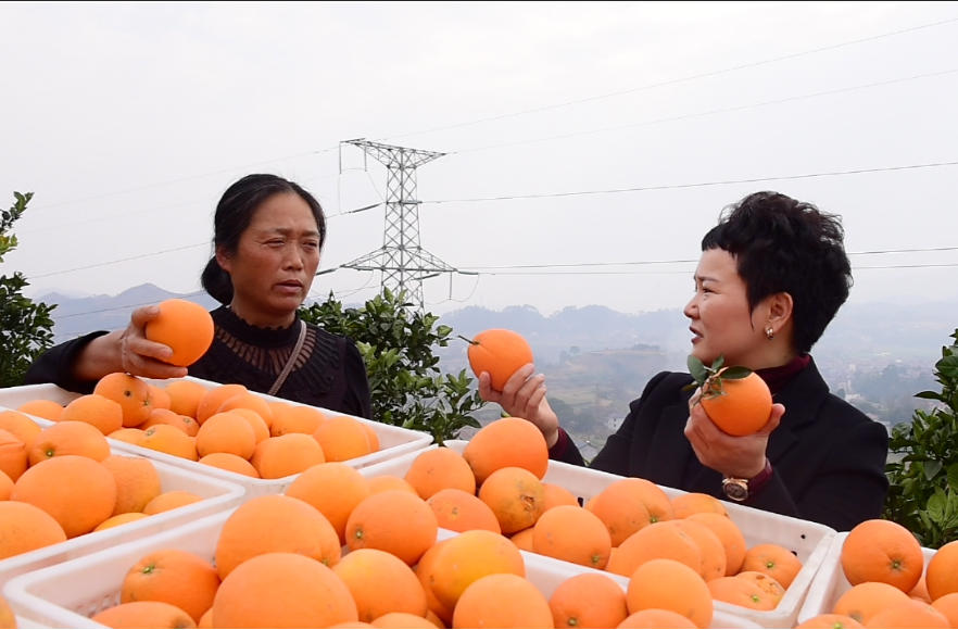 永定区：“委员真是咱们的贴心人！”