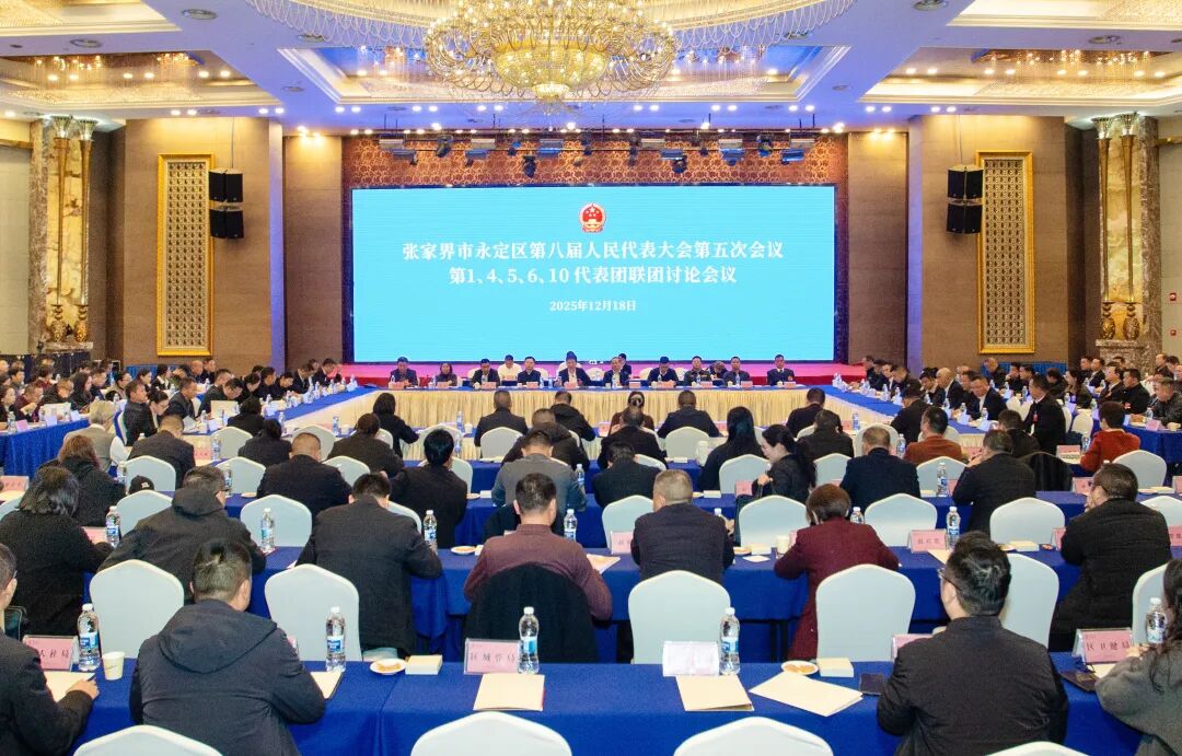 两会时间丨张喜松、王学军参加人大代表联团讨论