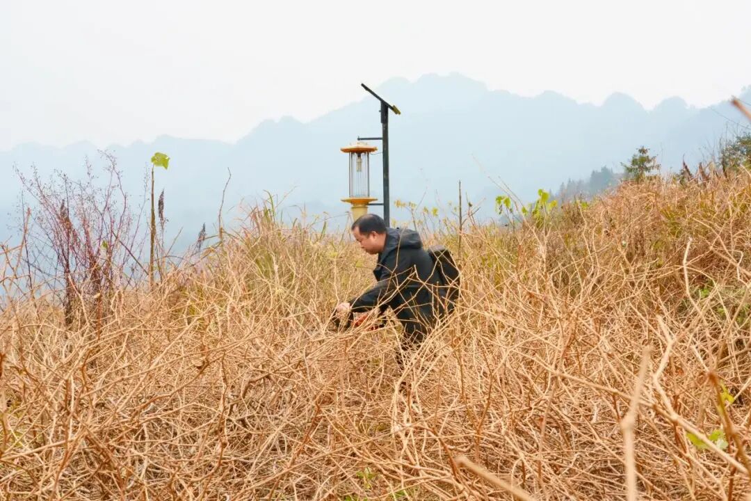 “十四五”永定答卷丨富了