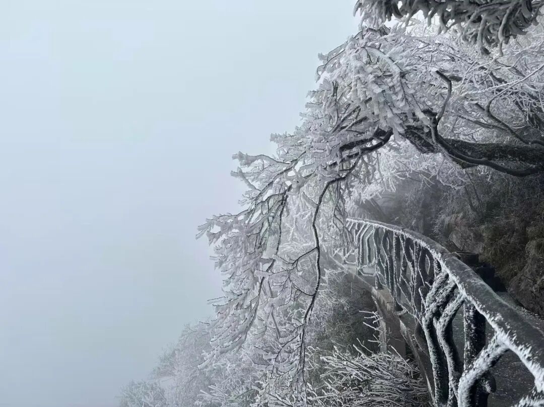 寒潮 “速冻” 永定，踏雪赏景正当时