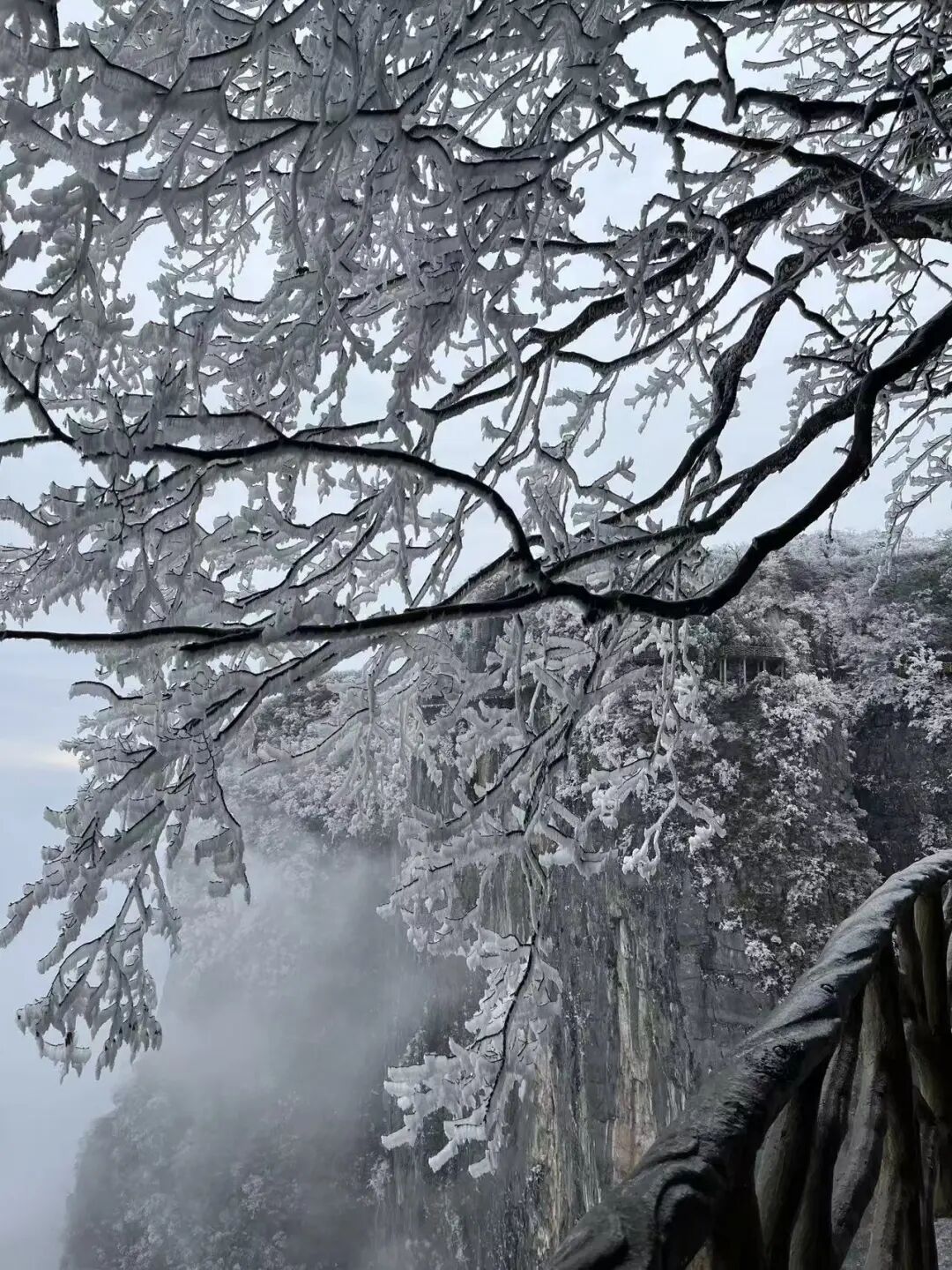 大到暴雪！冰冻！张家界市气象局再次提醒