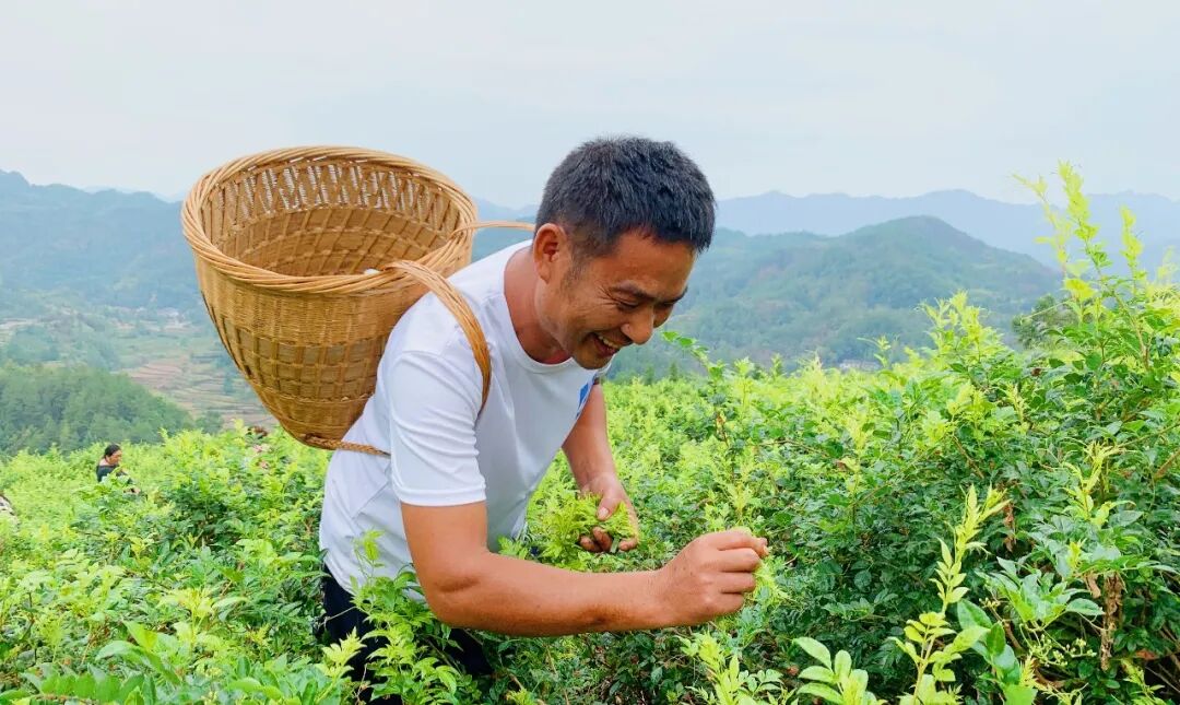 一次大会，解码永定区奋斗蓝图