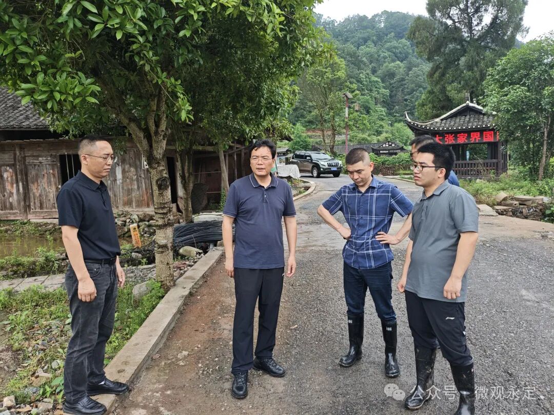 王学军到王家坪镇检查防汛抗灾工作