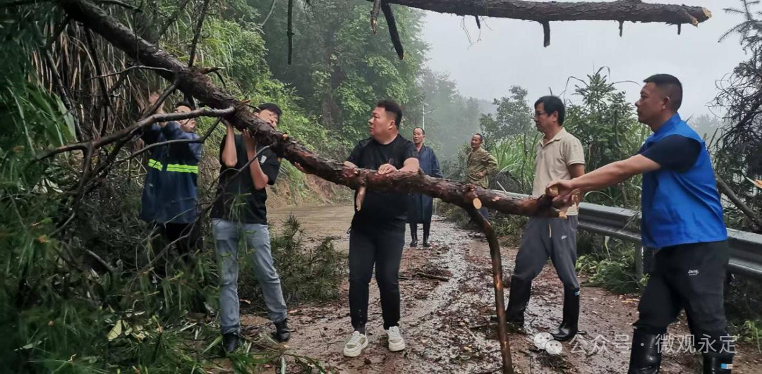 平安度汛丨闻“汛”而动！永定区全力迎战强降雨
