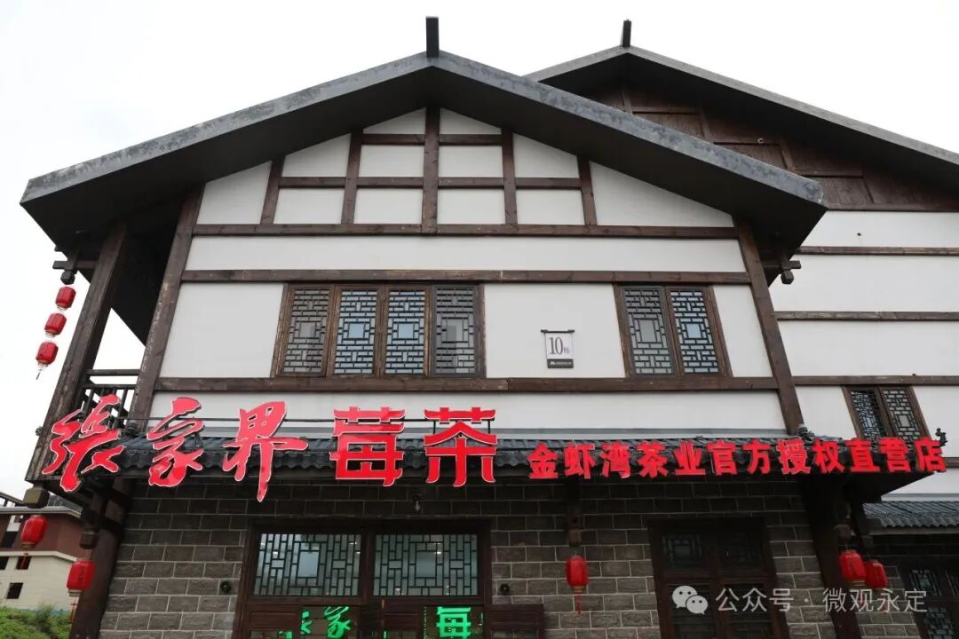 张家界莓茶小镇丨莓茶小镇进度条持续刷新