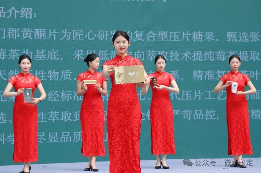 新品来了！张家界发布多款创新茶产品