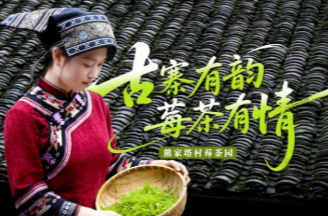 活动预告丨夏风吹，战鼓擂 ！永定区莓茶园PK赛来啦