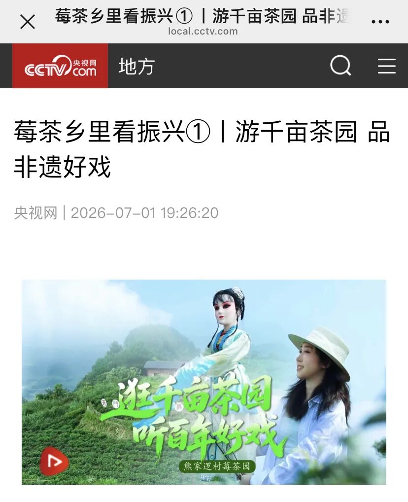 获央视网推介！永定区这几个莓茶园热度爆棚