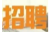 找工作丨张家界骆驼户外用品有限公司招人啦！