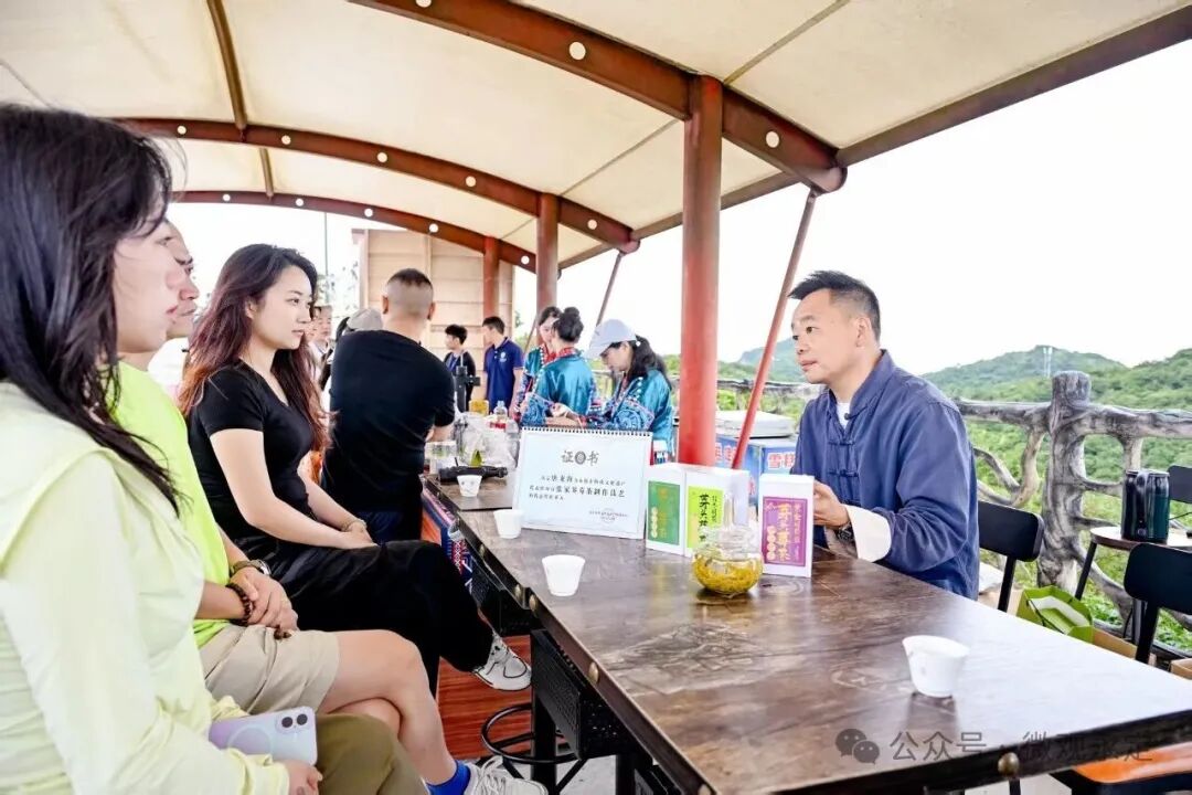 看表演、品莓茶、听音乐会……张家界七星山的清凉体验丰富多彩