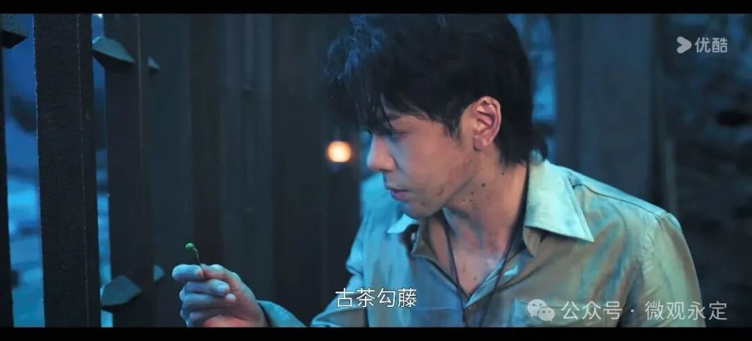 《九门》古茶勾藤出圈！现实原型就在张家界