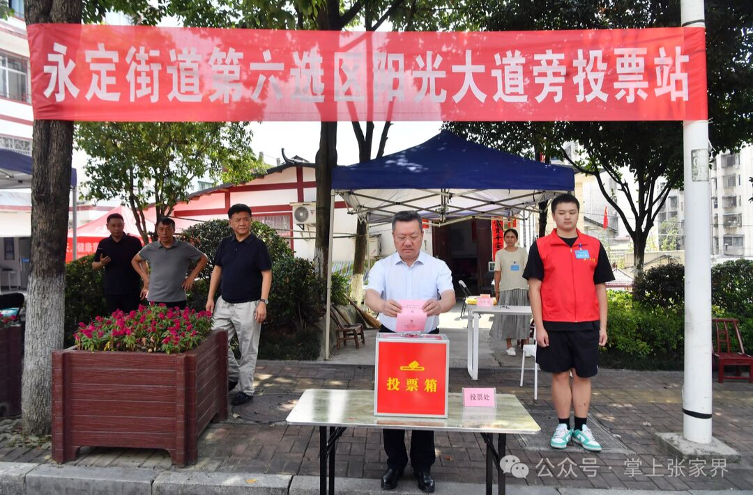 贺辉、陈澎参加永定区人大代表选举投票