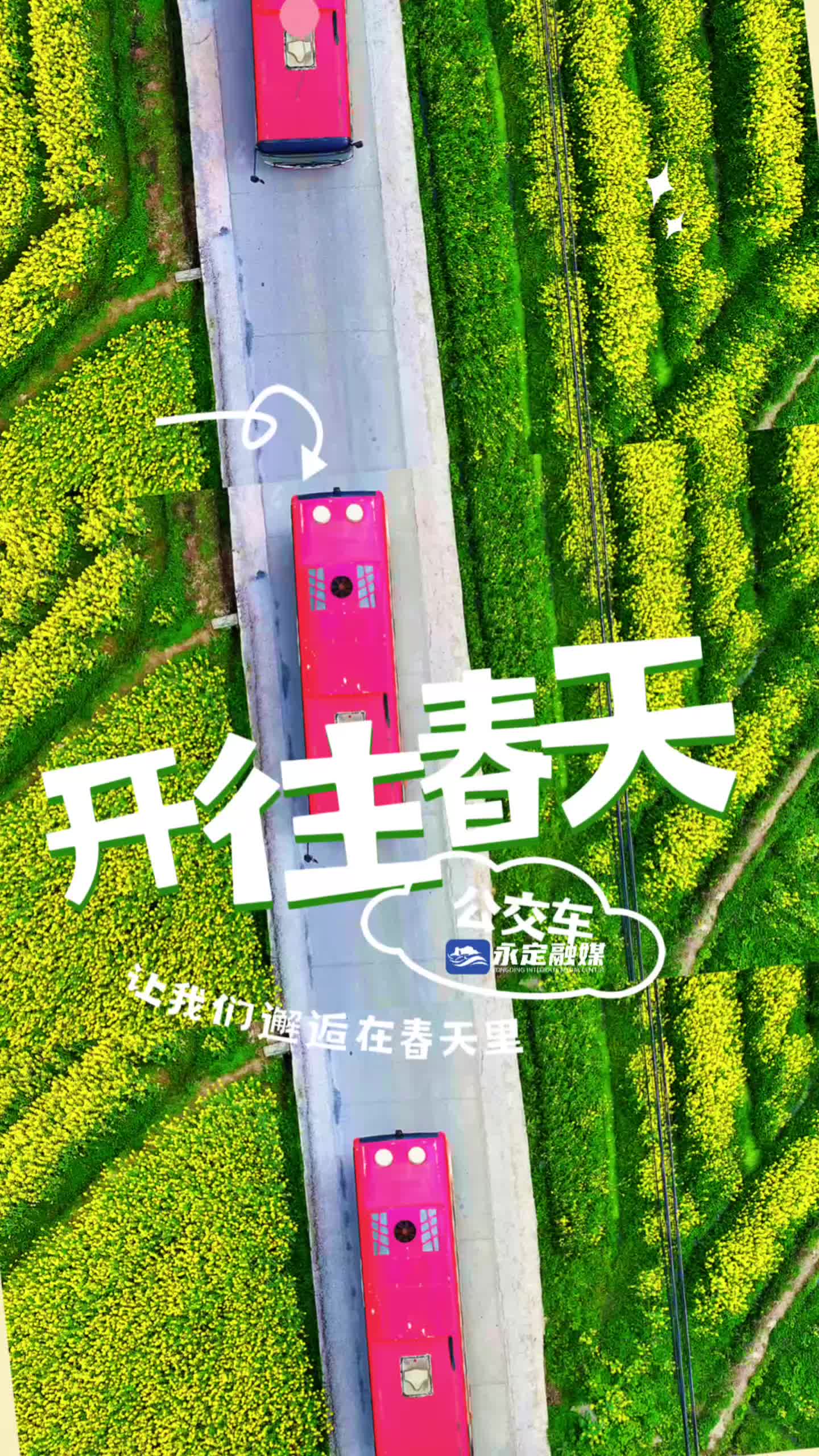 搭乘公交车打卡永定绝美油菜花海